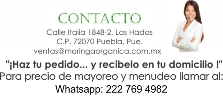 contactomoringa