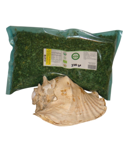 hoja de moringa