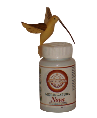 moringa nova