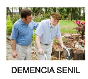 demencia senil caps aceite hojas moringa