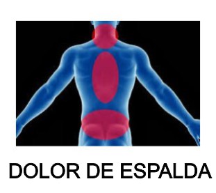 dolor de espalda dolor de cadera dolor de cintura moringapura dorada