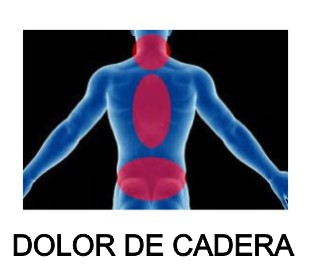 dolor de espalda dolor de cadera dolor de cintura moringapura dorada1