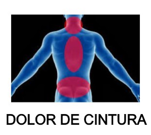 dolor de espalda dolor de cadera dolor de cintura moringapura dorada2