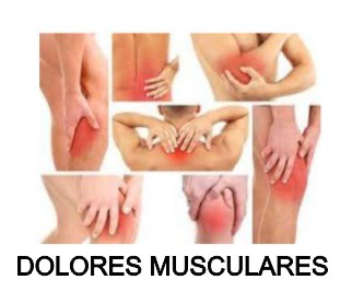 dolores musculares moringapura sport