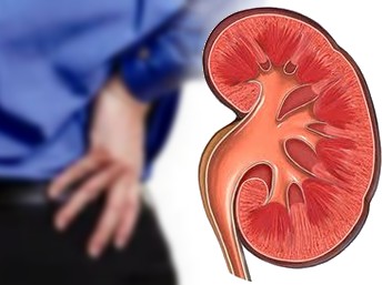 Insuficiencia renal