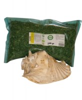 hoja-de-moringa